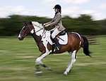 Wanborough Horse and Dog show